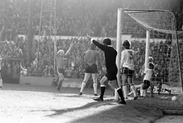 Plenty of celebrations