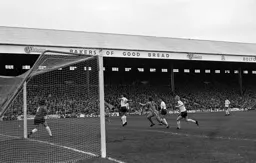 Lil Fuccillo ready to pounce