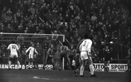 Mansfield on the attack