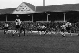 David Carr joins the attack