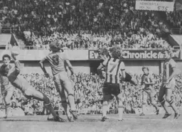 Newcastle net the only goal of the game