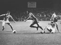 Brian Stein on the prowl