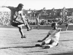 Brian Stein fires across