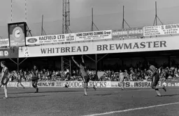 Brian Stein celebrates