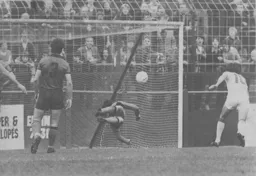 Milija Aleksic is beaten