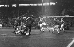 Bob Hatton in a tangle