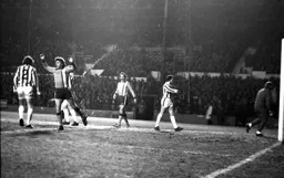 Mal Donaghy thinks he has scored late winner but goal rules out for handball by Steve Taylor