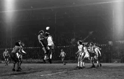 Bob Hatton rises high