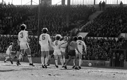 Brian Stein surrounded