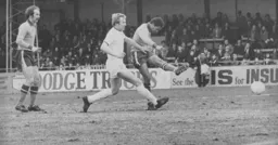 Brian Stein makes it two