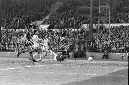 Own goal on its way in