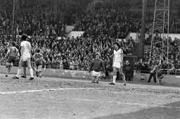 Plenty of celebrations