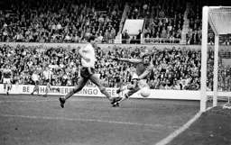 Brian Stein goes close