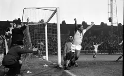 Brian Stein celebrates