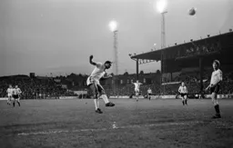 Brian Stein heads over