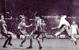 Mal Donaghy tries his luck