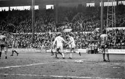 David Moss receiving congratulations