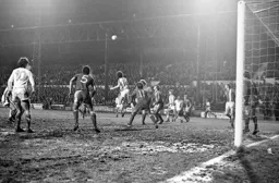 Steve White above the defence