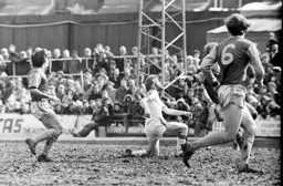 Tony Grealish in a mud bath