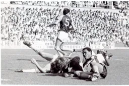 Brian Stein folied again