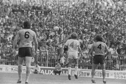 Paul Price heads clear