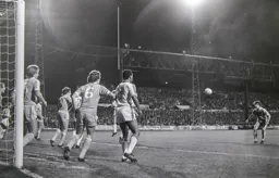 Brian Stein on his own