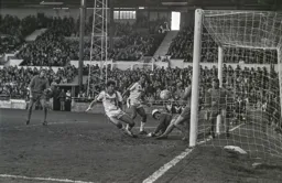 Steve White forces the ball home