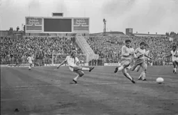 Tony Grealish strikes