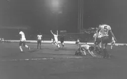 Steve White celebrates his winner