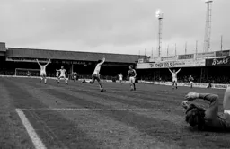 Luton celebrate
