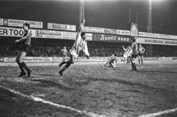 Brian Stein celebrates