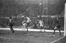 Mal Donaghy cannot keep his header down