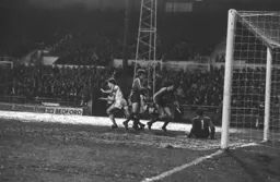 Steve White turns to celebrate