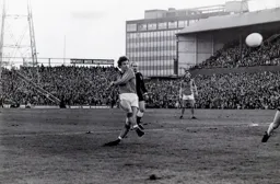 Kirk Stephens shoots