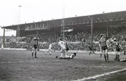 Main stand celebrating