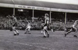 Town turn in celebration