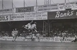 Brian Stein in the mix