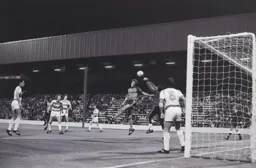 Steve White rises high