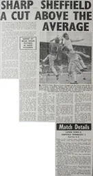 Match Report: Luton Town FC vs Sheffield Wednesday (12th Sep 1981)