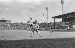 Mike Small on as substitute rises above the Wednesday defence