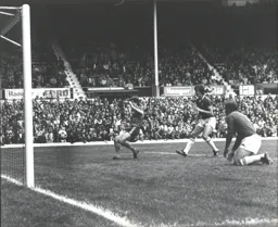 Steve White equalises