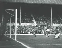 Steve White wheels away after levelling the score