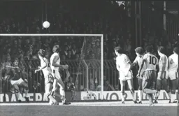 The Hornets gain a consolation goal