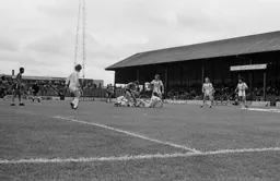 Steve White surrounded