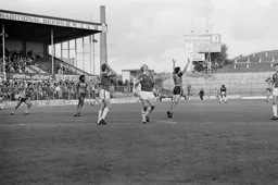 Despair for some elation for others