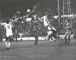 All hands on deck in the Palace defence