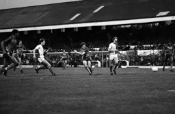 Steve White fires wide