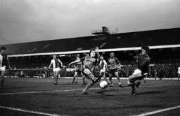 Steve White stretches for the ball