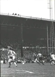 Any vantage point will do