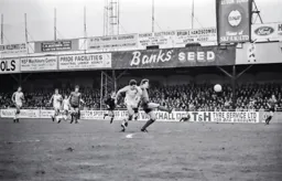 Steve White tries to get past his marker